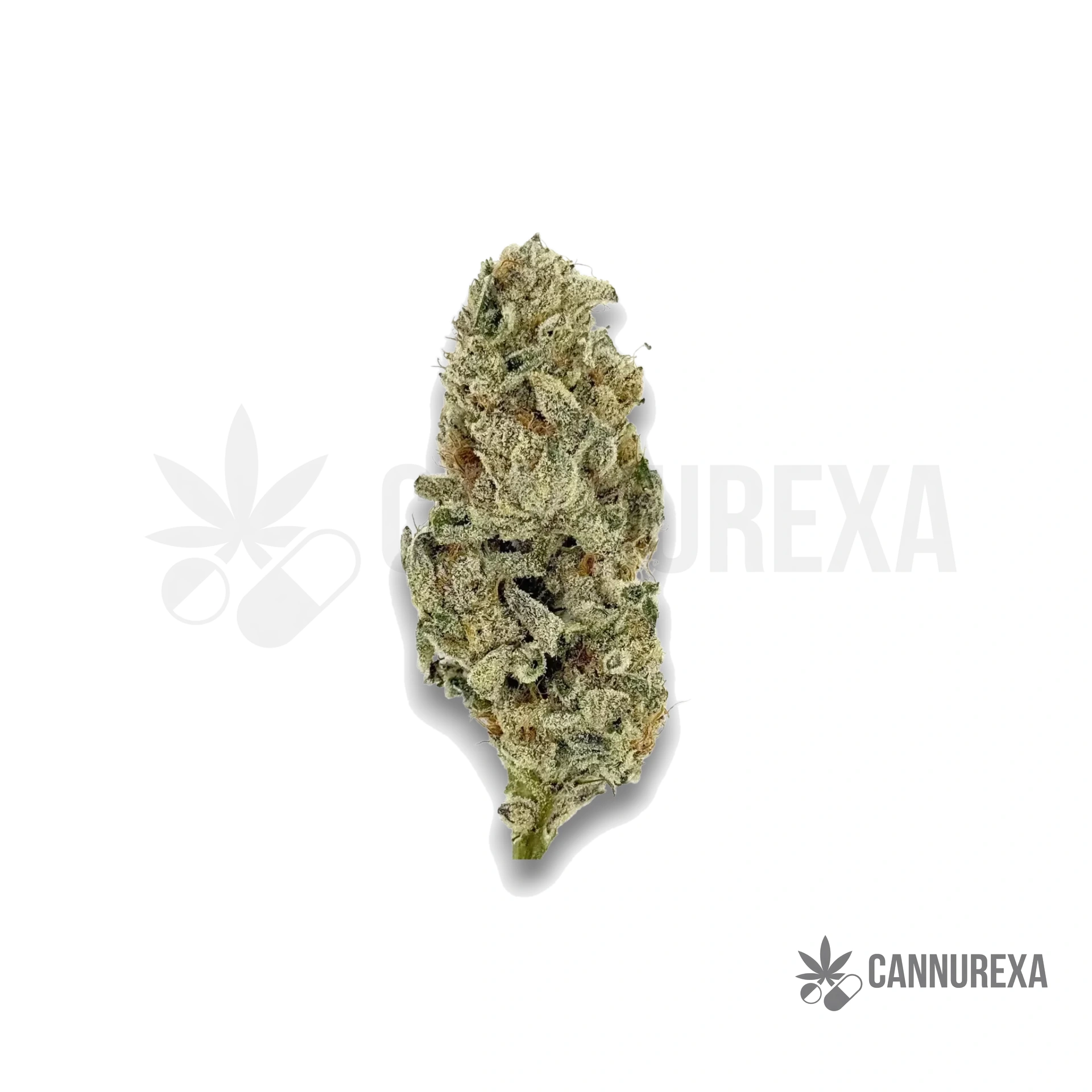 Weeco PS 25/1 Pulsar