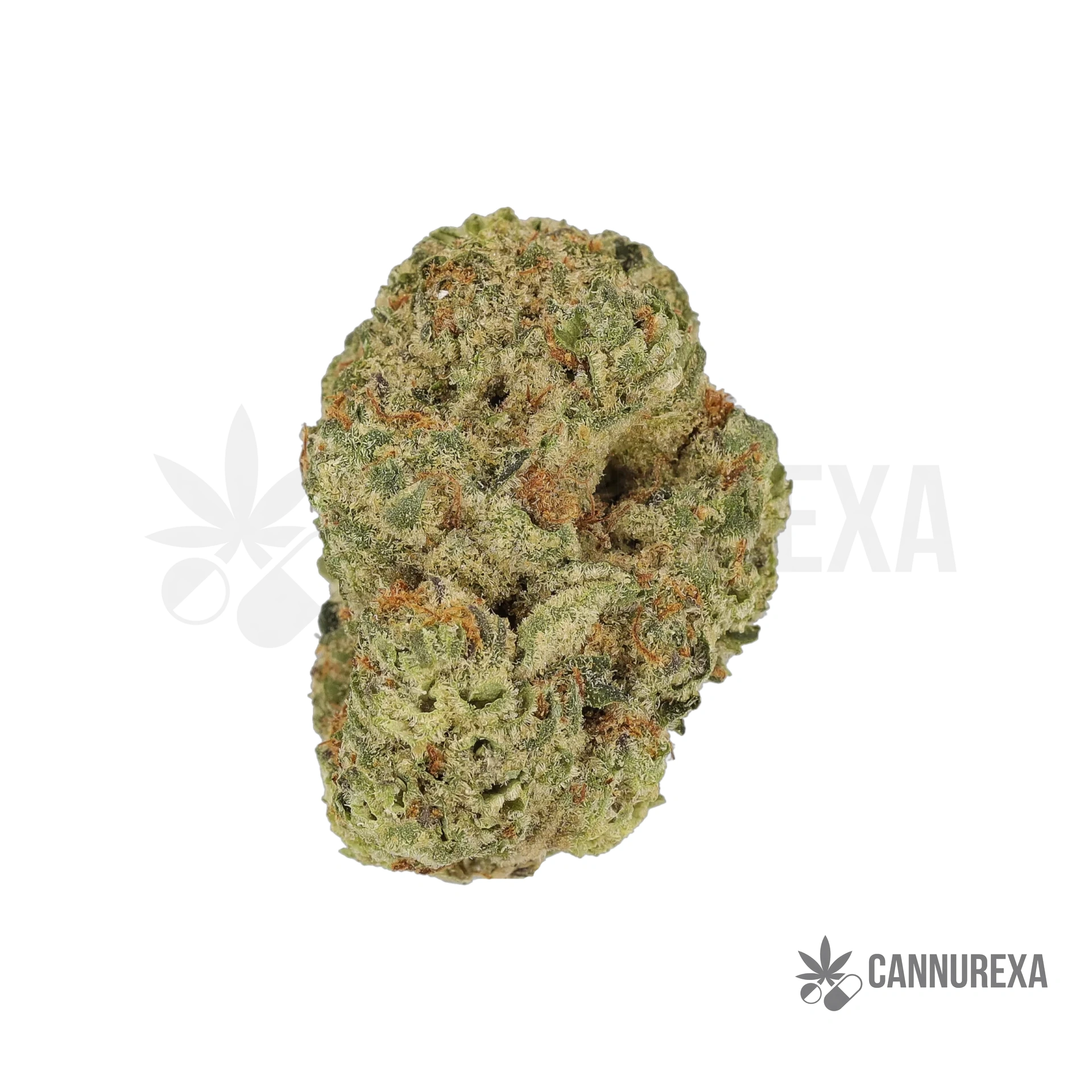 Luana Electric 24/1 Bashengo