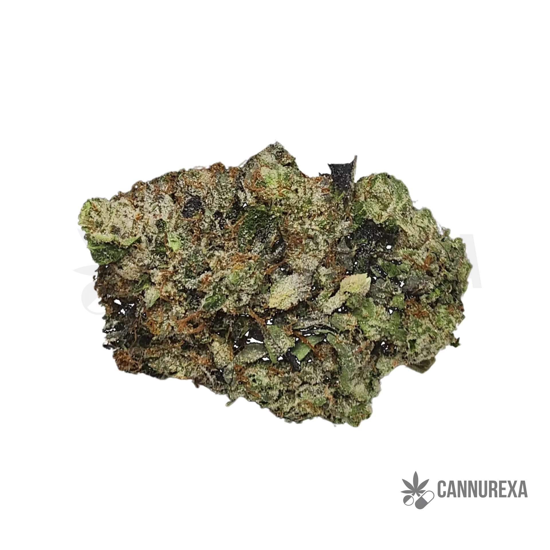 Khiron LBO 24/1 (Lemon Berry OG)