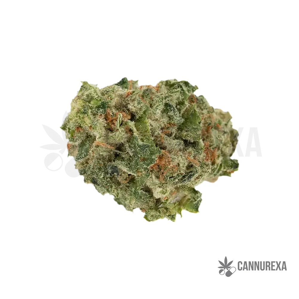 Khiron SCD 25/1 (Sour Chocolate Diesel)