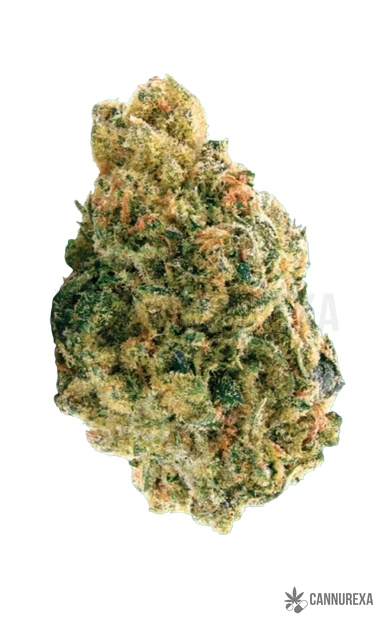 NICE 30/1 LK Lemon Kush