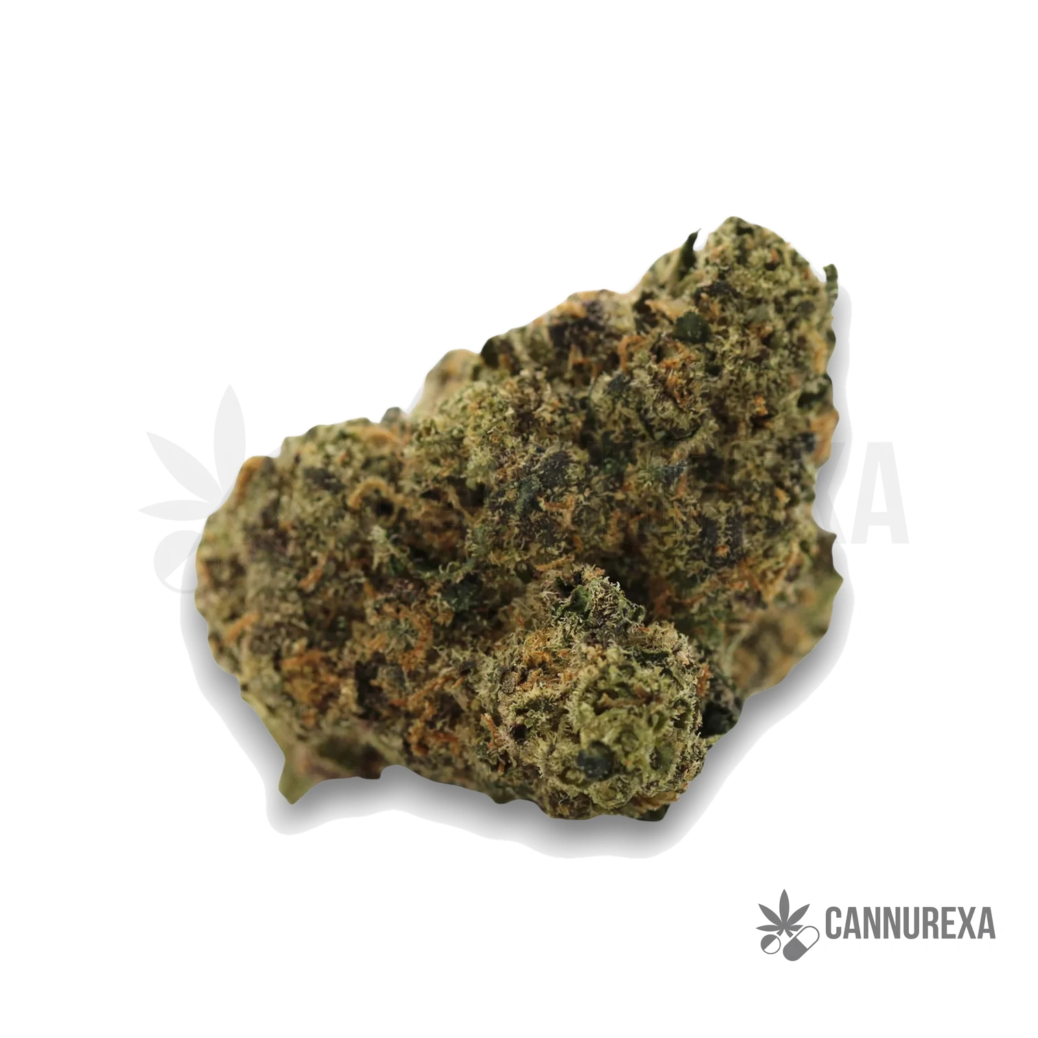 MGF Pop up No. 1 24/1 Gastro Pop