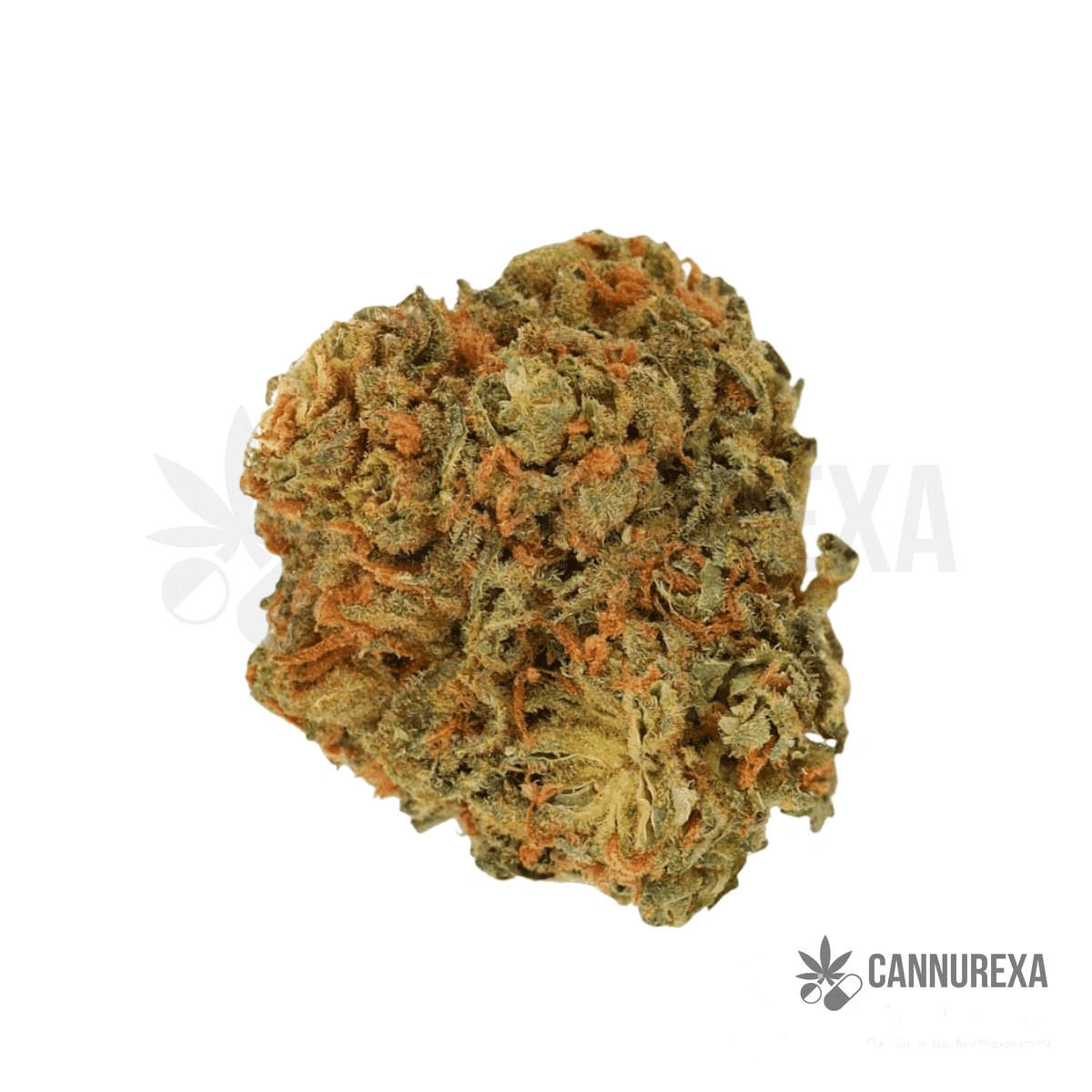 Canify 28/1 CSF Ku. Solpina Magic