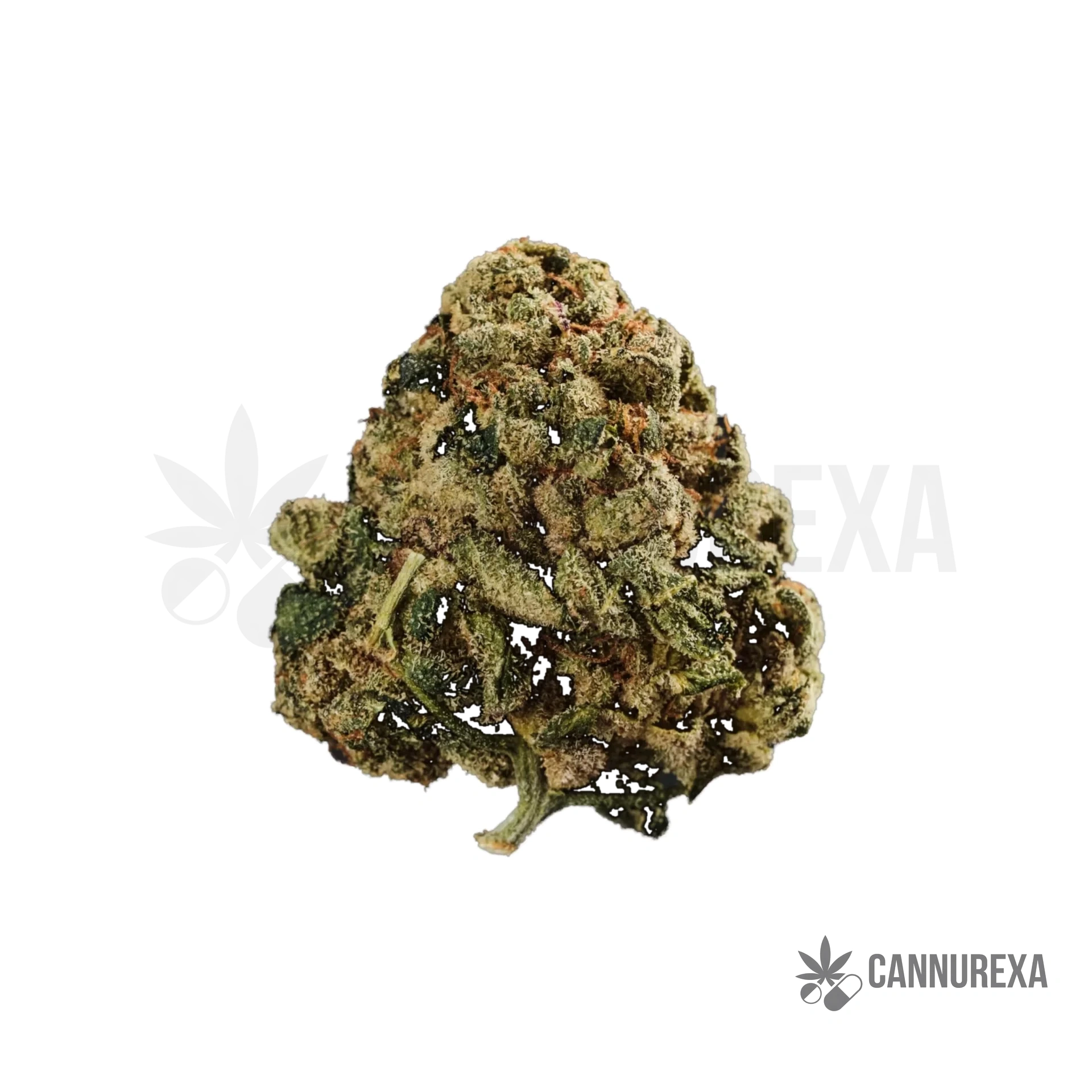 WEECO Peridot 25/1 Slightly Stoopid Fruits