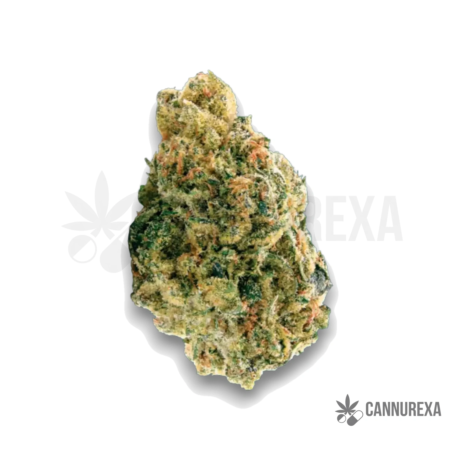 NICE 26/1 LED Legendary Larry