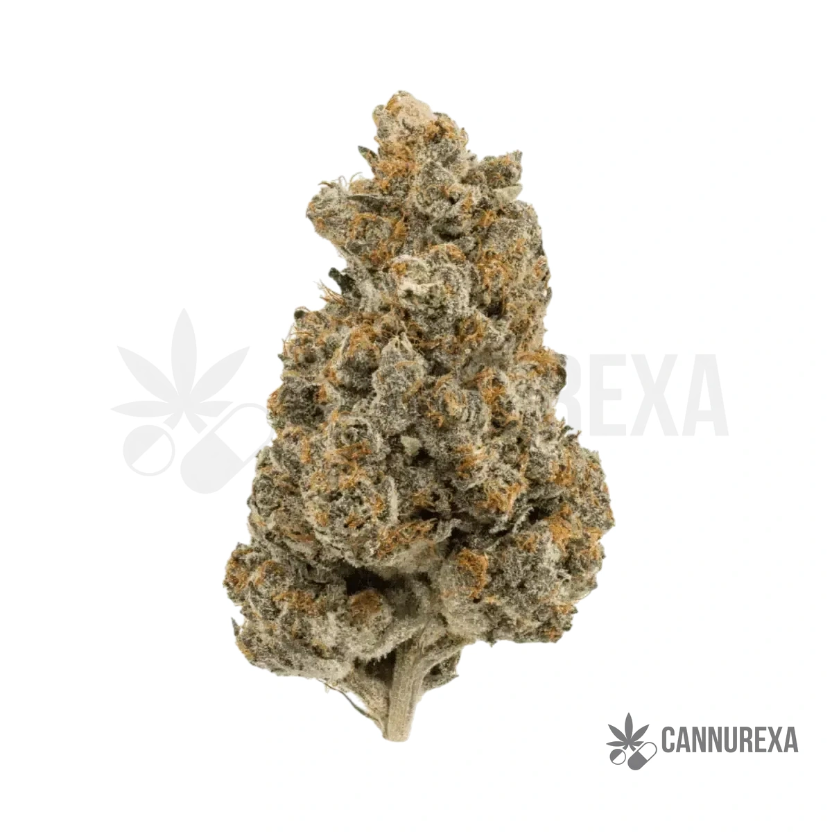 MGF AandB 25/1 Granapple Pie