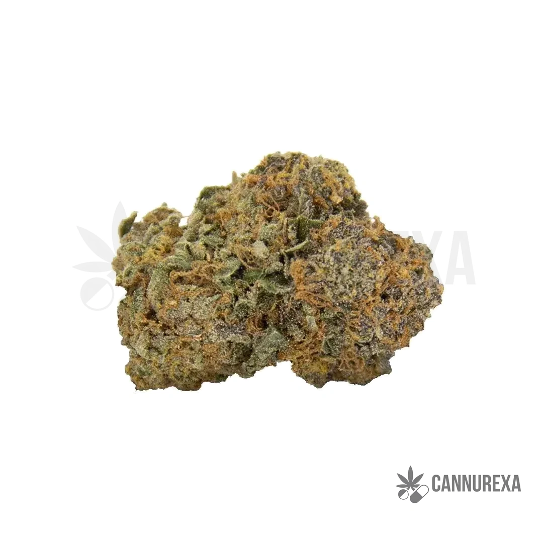 NICE 27/1 TMI Triangle Mints