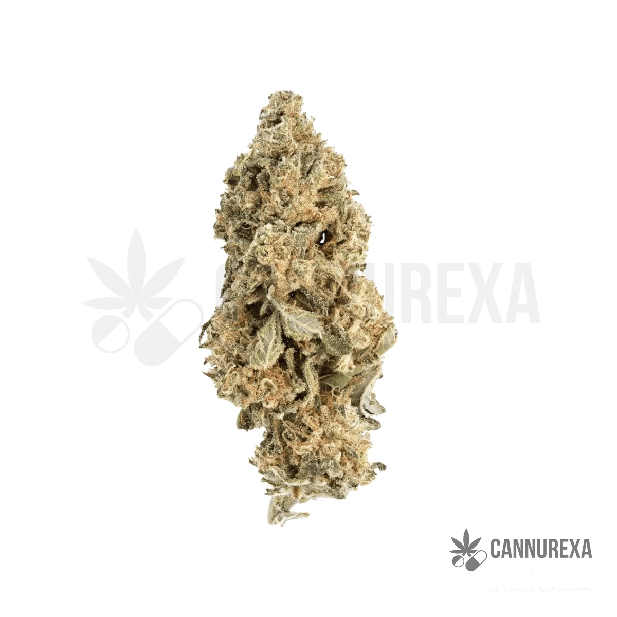 Cannabis flos 28/1 CSF Ku. Cape Venin
