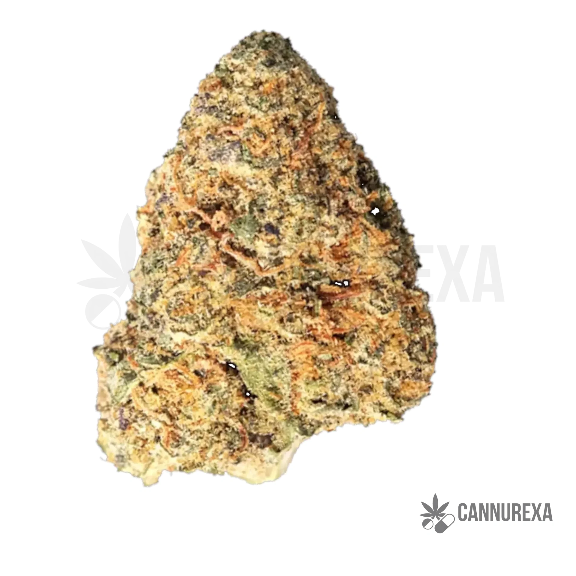 MGF Pop up No. 9 26/1 Pink Certz