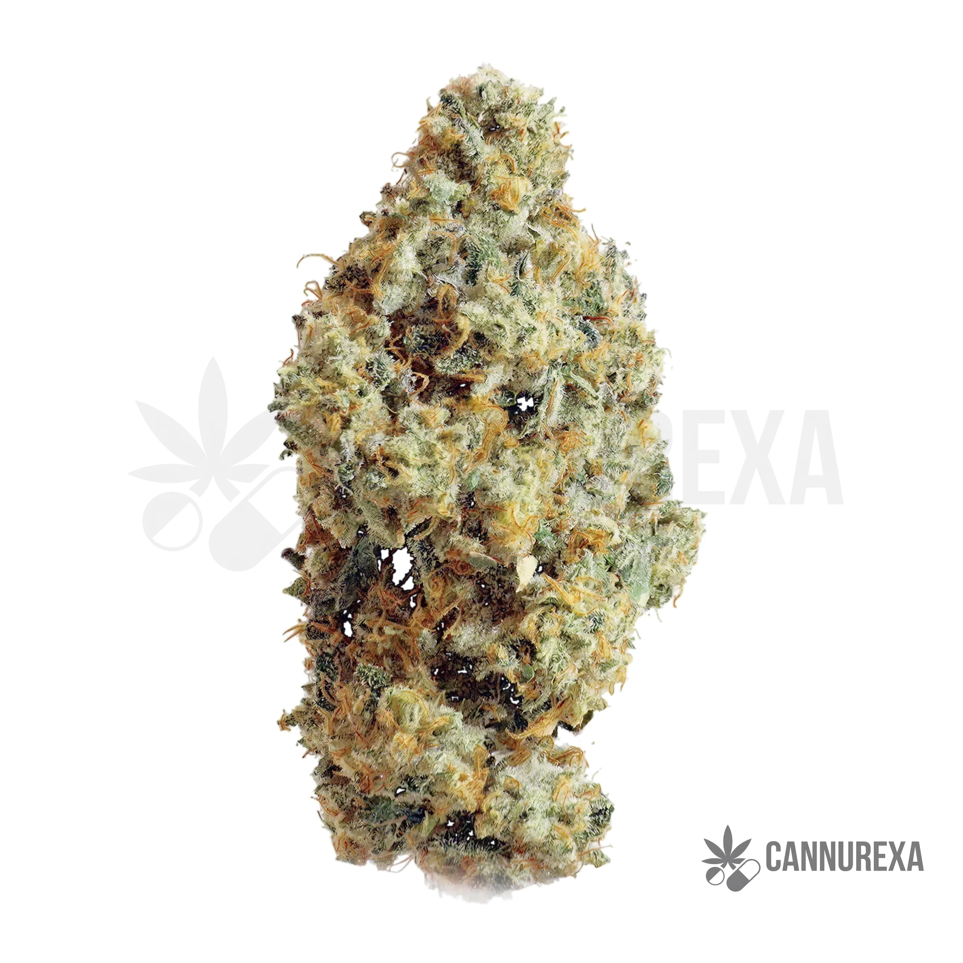 Buuo 28/1 Candydrop Blue Cheese