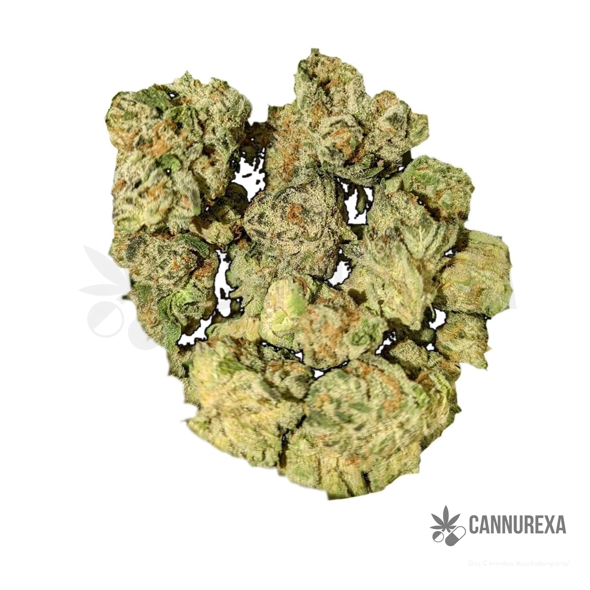 Cannamedical Indica forte El Jefe