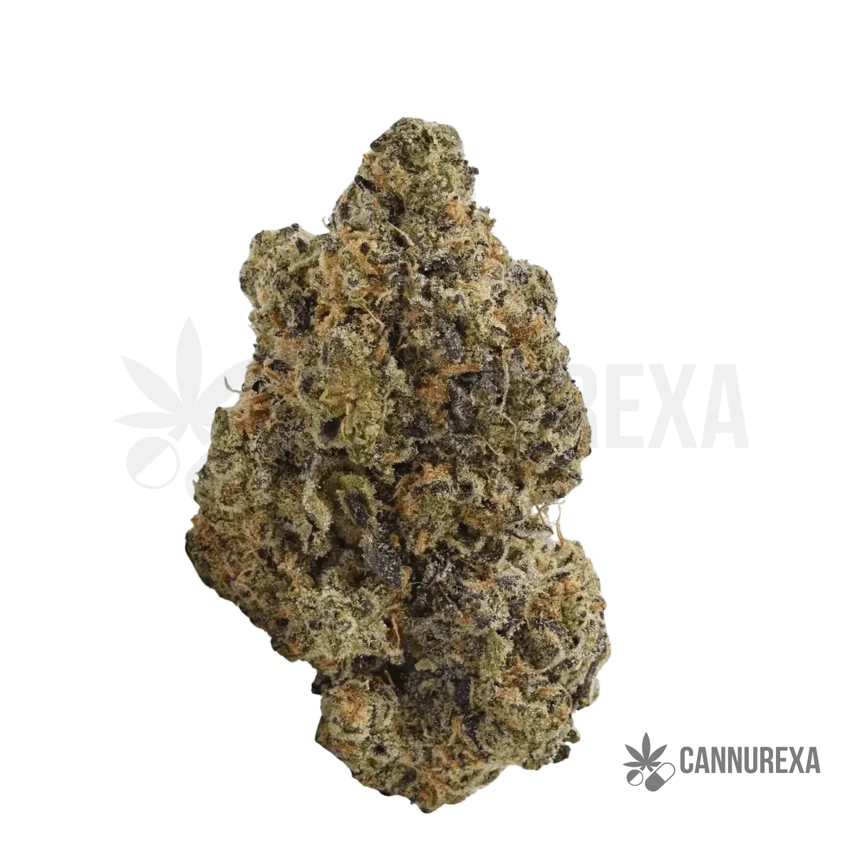 TRUU GT 27:01 (Crumbled Lime)