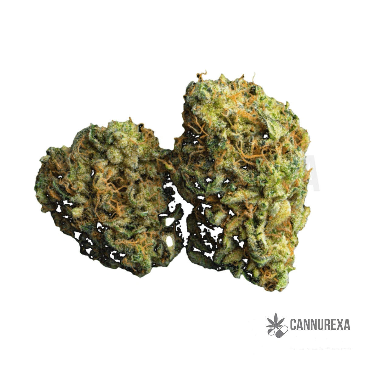 Cannamedical Hybrid Ultra BC Lemon Cookies