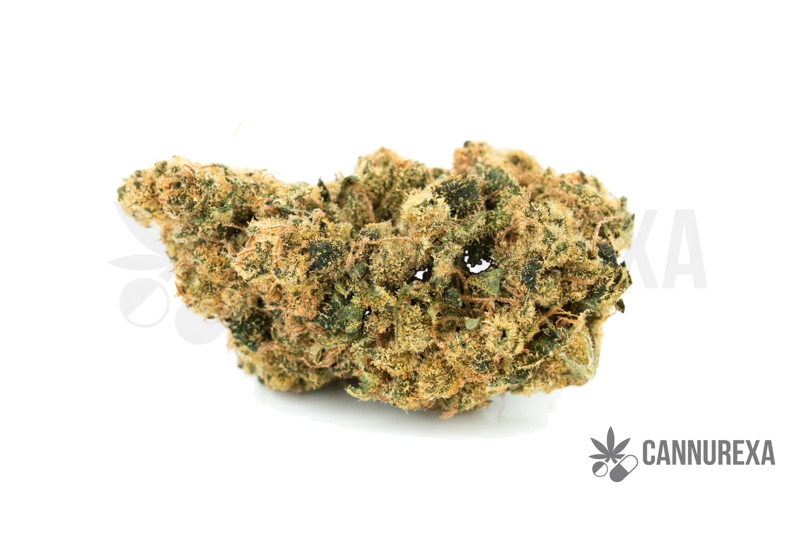 NICE 30/1 BM Blueberry Muffin