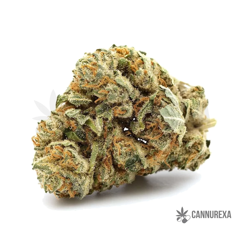 Khiron SLH 26/1 (Super Lemon Haze)