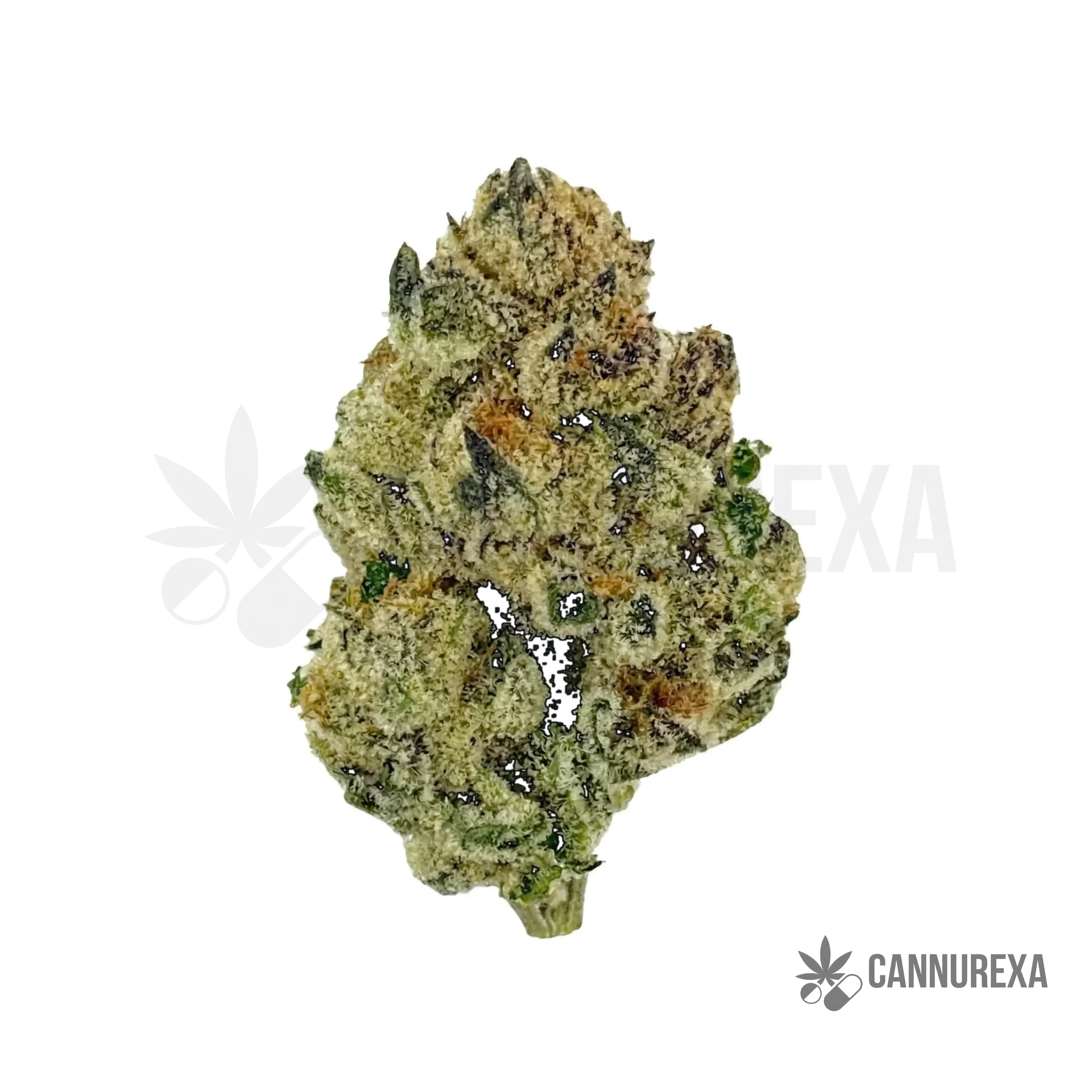 Khiron TC 30/1 (Tiger Cake)