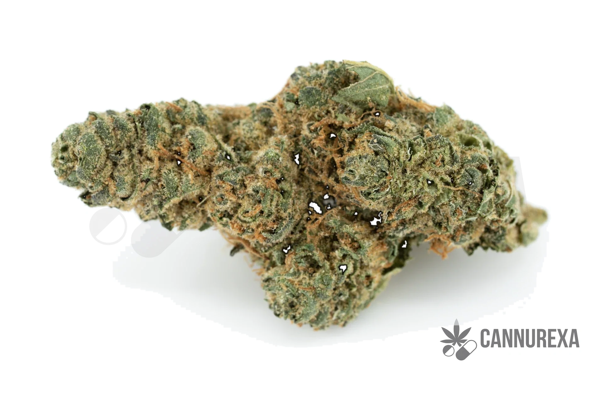 Pedanios 31/1 PND-CA (Pink Diesel)