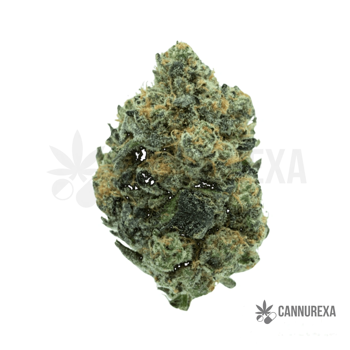 TRUU GT 30:01 Cookies OG
