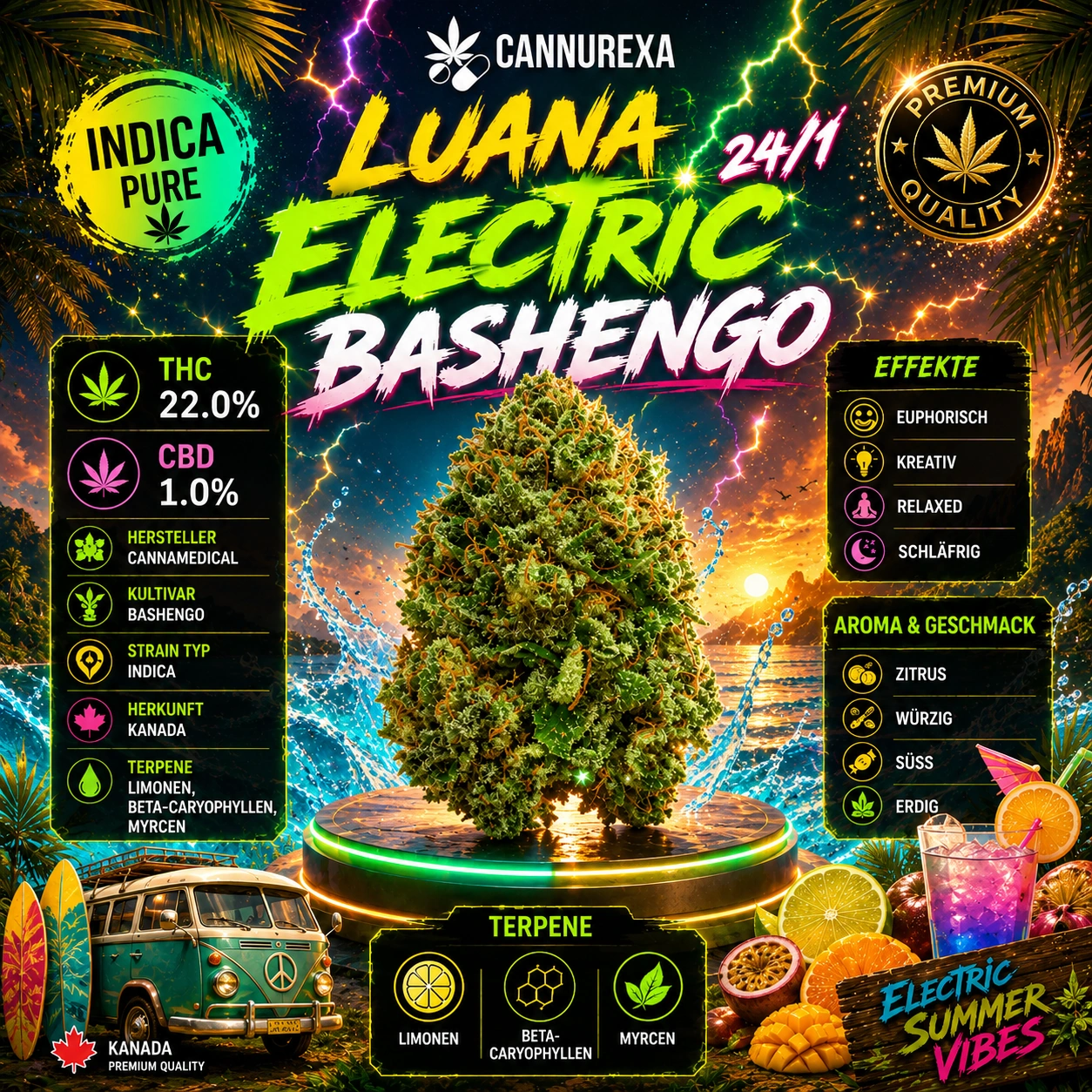 Luana Electric 24/1 Bashengo