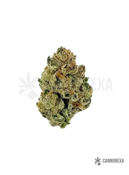 Siggis PMNZ 28:01 Siggis Pfefferminze