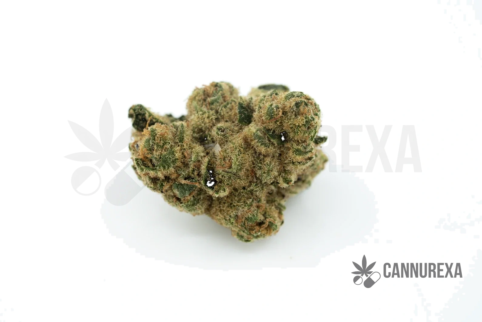 WEECO Duke 24/1 Purple Rain