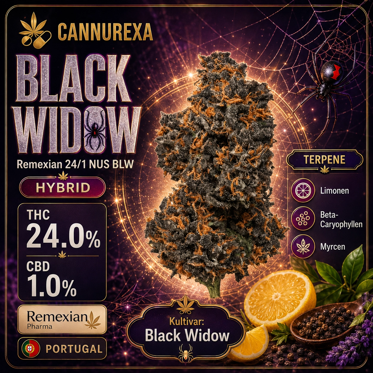 Remexian 24/1 NUS BLW Black Widow