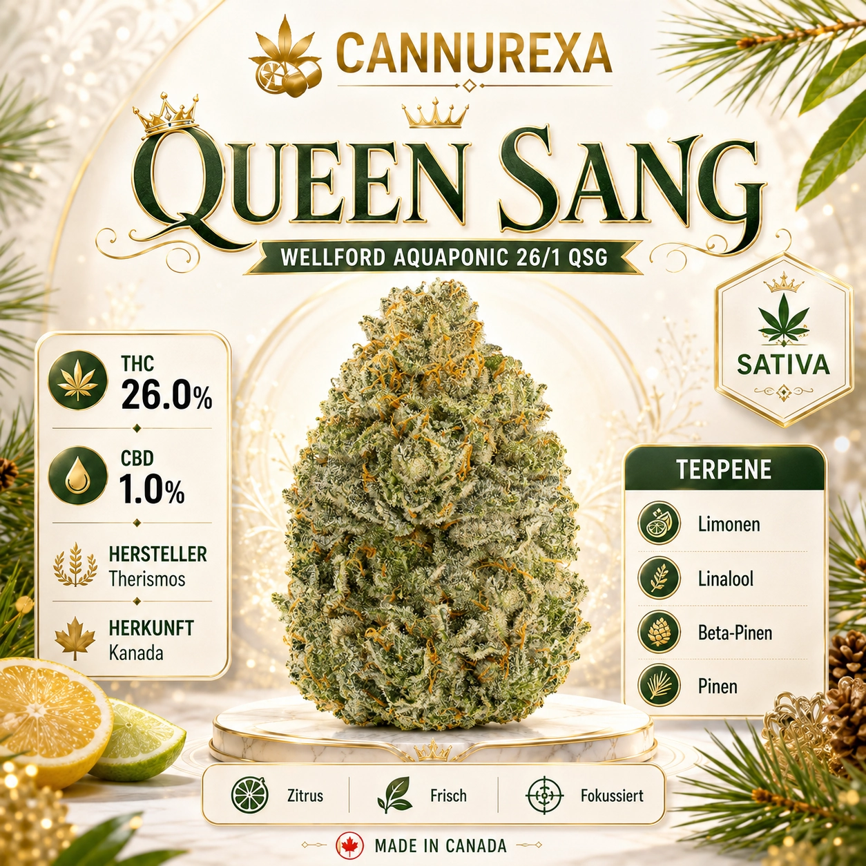 Wellford Aquaponic 26/1 QSG Queen SanG